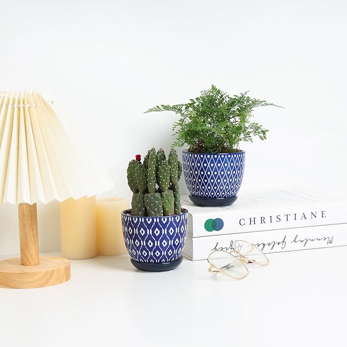 Selamica Ceramic Succulent Pots, 4.6 Inch Small Plant Pots