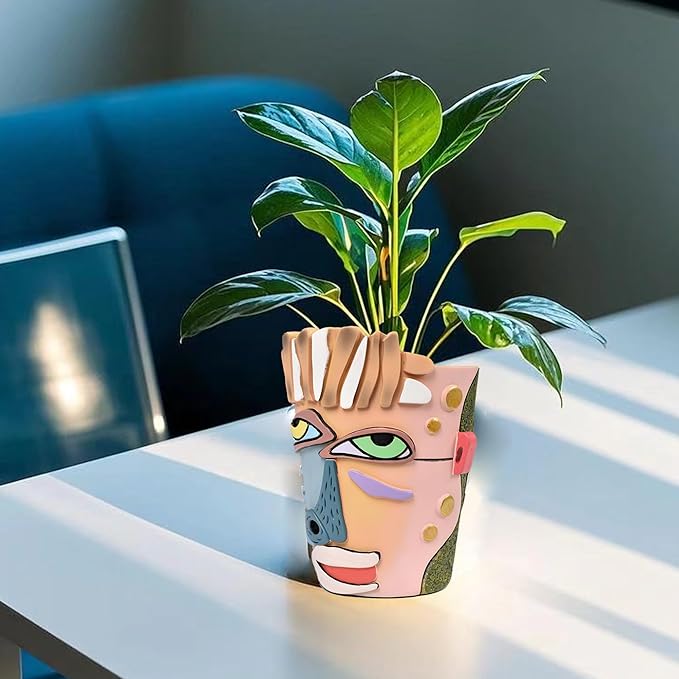 Abstract Face Planters Pots Head, Unique Head Planter
