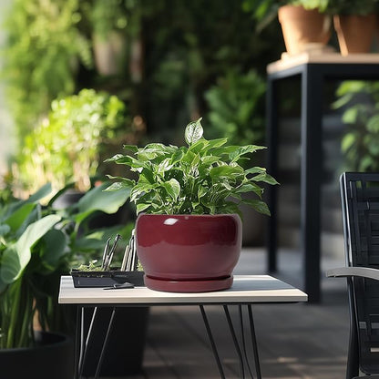 SQOWL Ceramic Planter