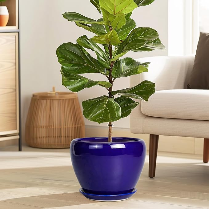 Ceramic Plant Pot 8 Inch