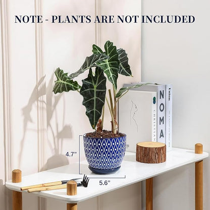 Selamica Ceramic Plant Pots, 5.6 Inch Flower Pots