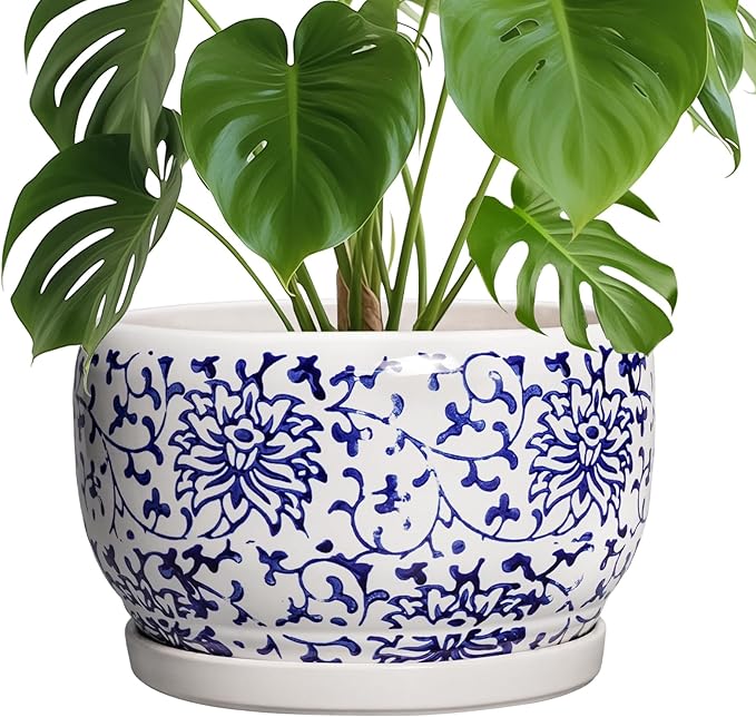 SQOWL Ceramic Pots for Plants