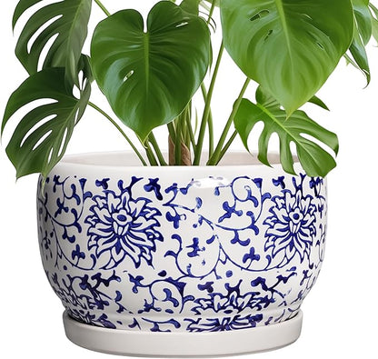 SQOWL Ceramic Pots for Plants