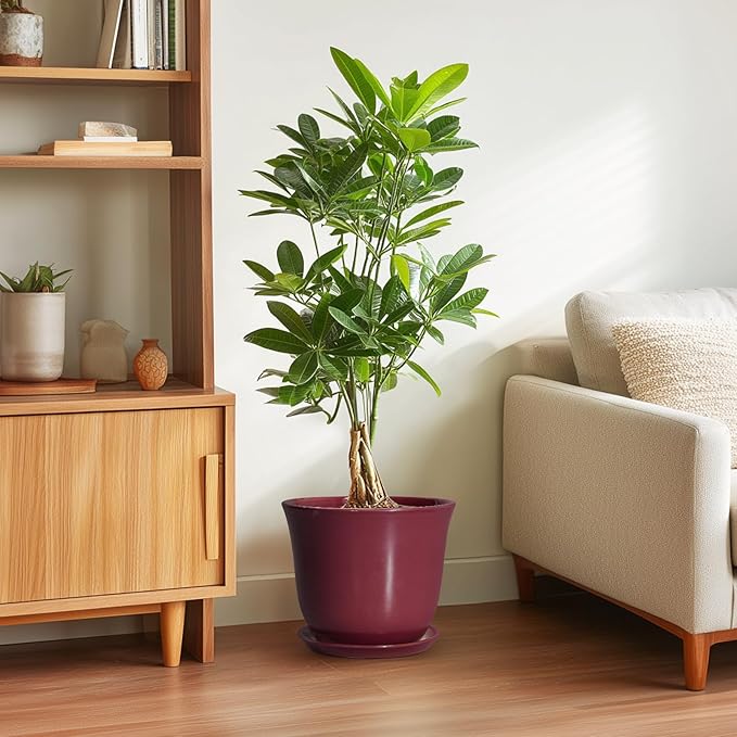 Ceramic Plant Pots