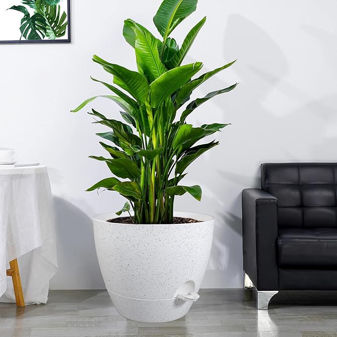 12 inch Large Self Watering Pots, Plastic Planters
