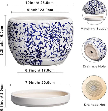 SQOWL Ceramic Pots for Plants