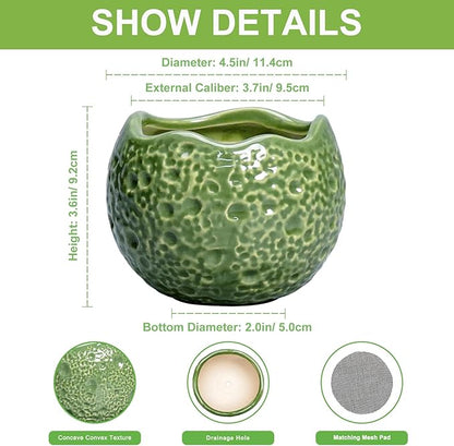 Ceramic Plant Pots