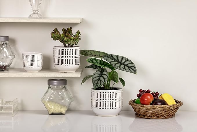 Docrin 3-Pack Ceramic Planters Set