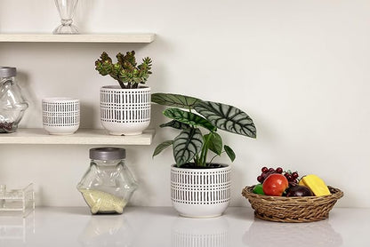 Docrin 3-Pack Ceramic Planters Set