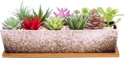 Succulent Pots - Large Succulent Planter Pots