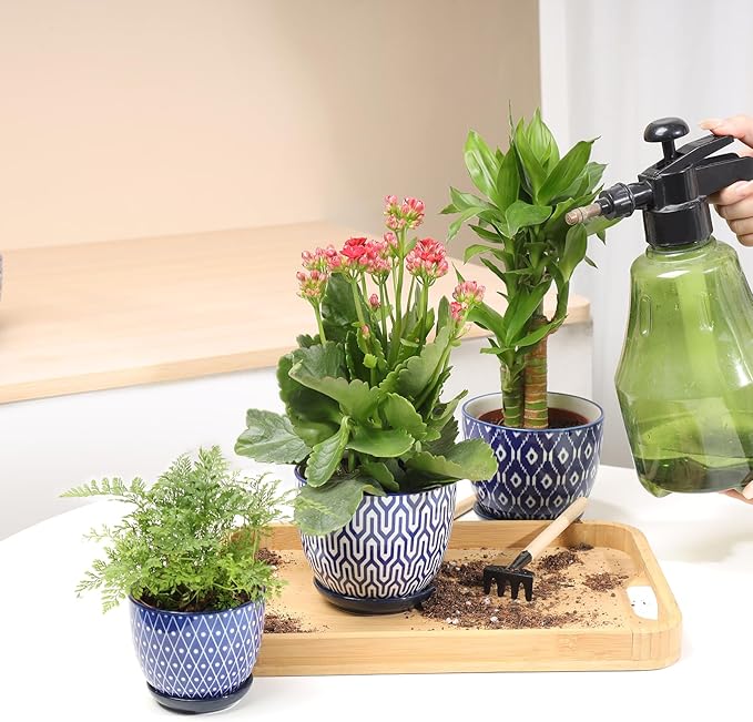 Selamica Ceramic Succulent Pots, 4.6 Inch Small Plant Pots