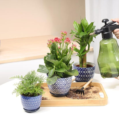 Selamica Ceramic Succulent Pots, 4.6 Inch Small Plant Pots