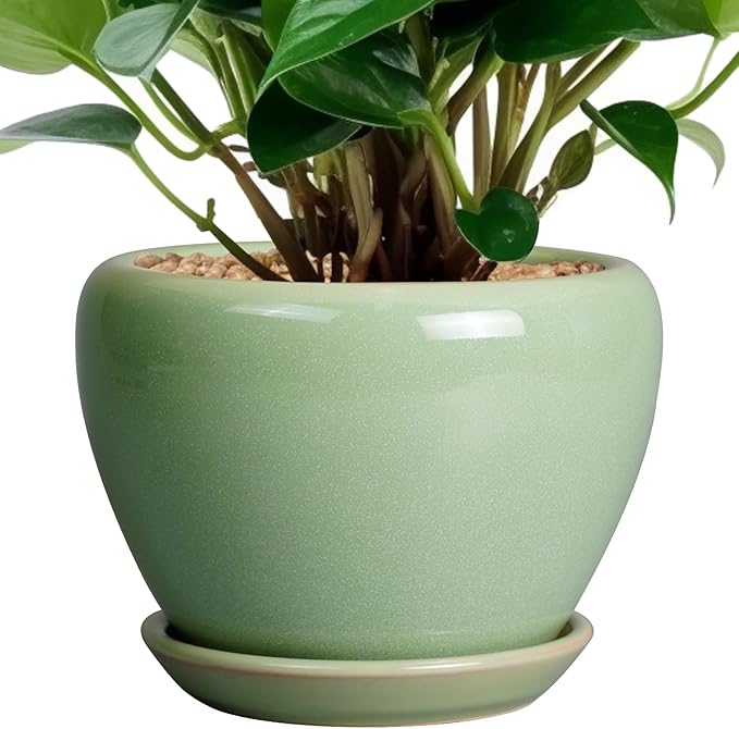 6 Inch Plant Pot