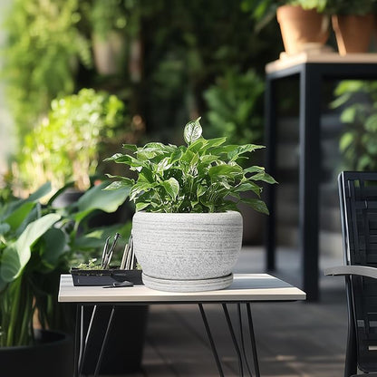 SQOWL Ceramic Plant Pots