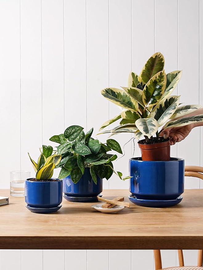 LE TAUCI Ceramic Plant Pots, 4.3+5.3+6.8 inch, Planters
