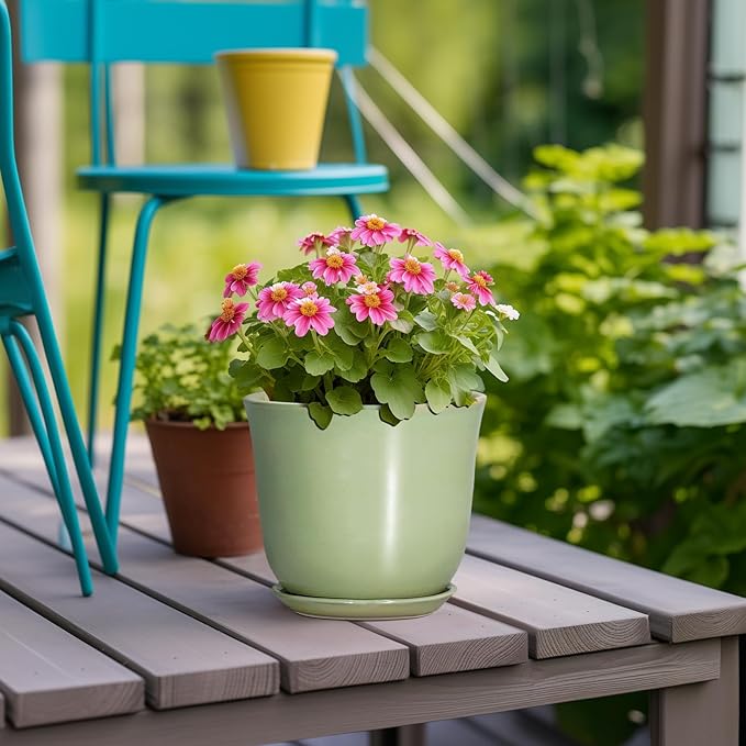 5.6 Inch Plant Pot
