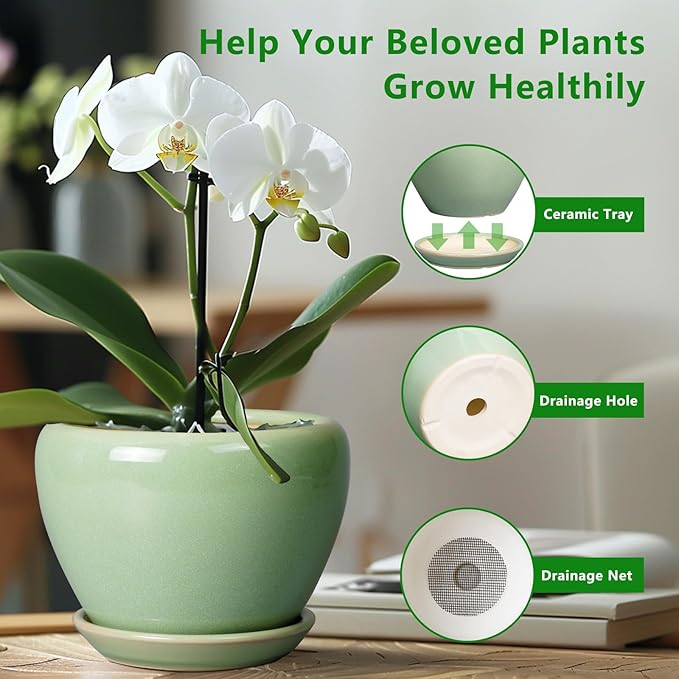 6 Inch Plant Pot