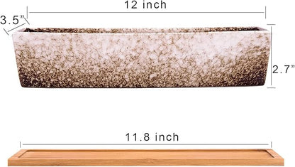 Succulent Pots - Large Succulent Planter Pots