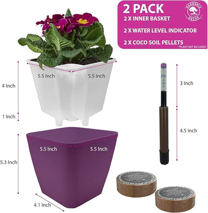 GARDENIX DECOR 5" Self Watering pots