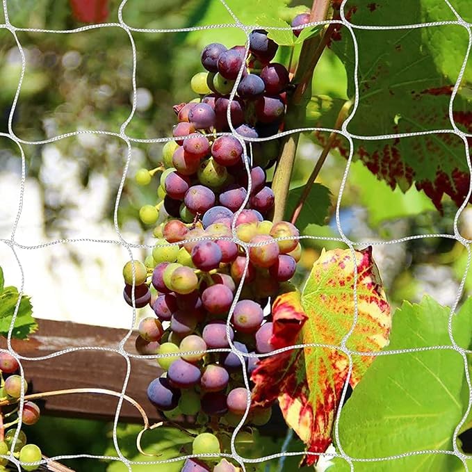 Tcamp Trellis Netting for Climbing Plants Outdoor Indoor