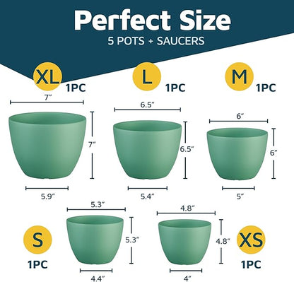 Planter Pots with Drainage Holes
