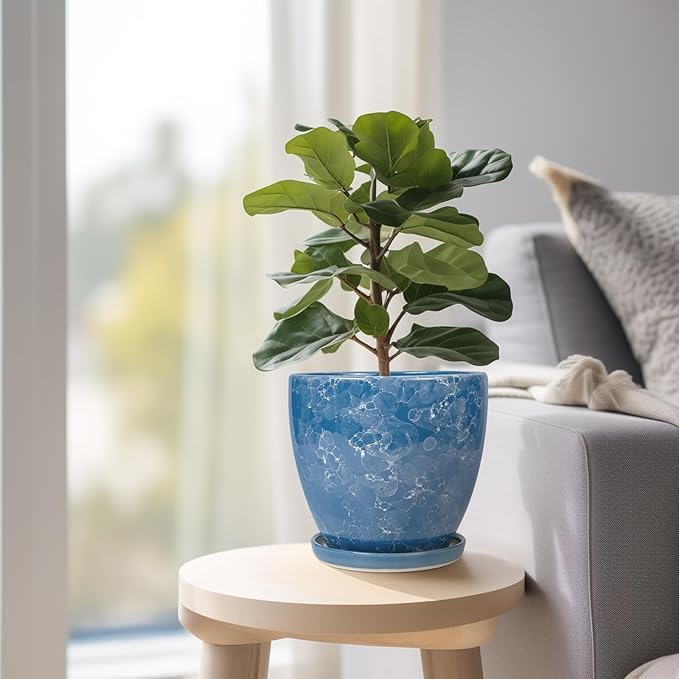 Ceramic Pots for Plants