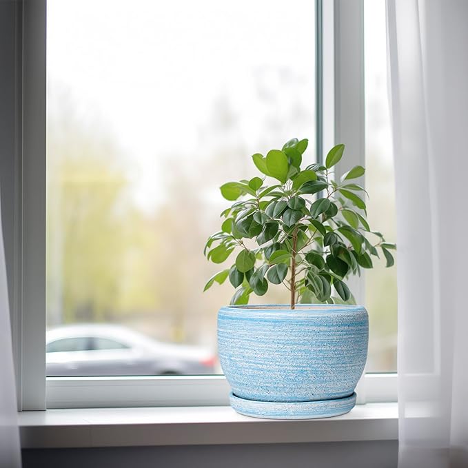 SQOWL Ceramic Planter