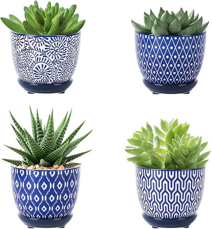 Selamica Ceramic Succulent Pots