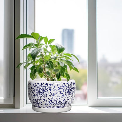 SQOWL Ceramic Pots for Plants
