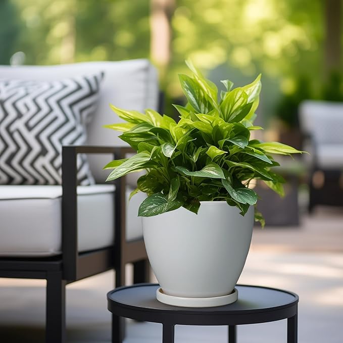 Ceramic Pots for Plants