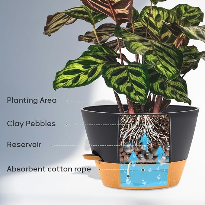 12-Inch Self Watering Planters
