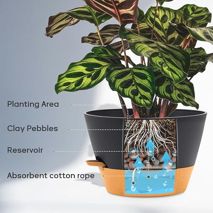 12-Inch Self Watering Planters