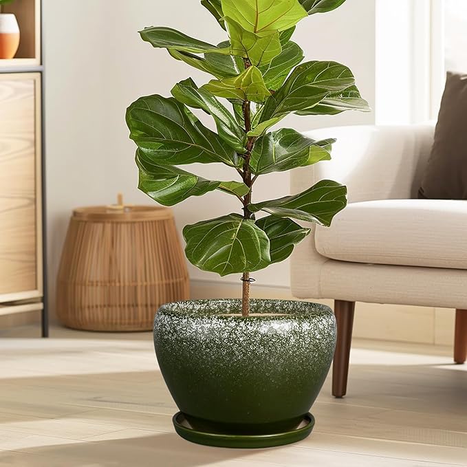 10 Inch Planter Pot