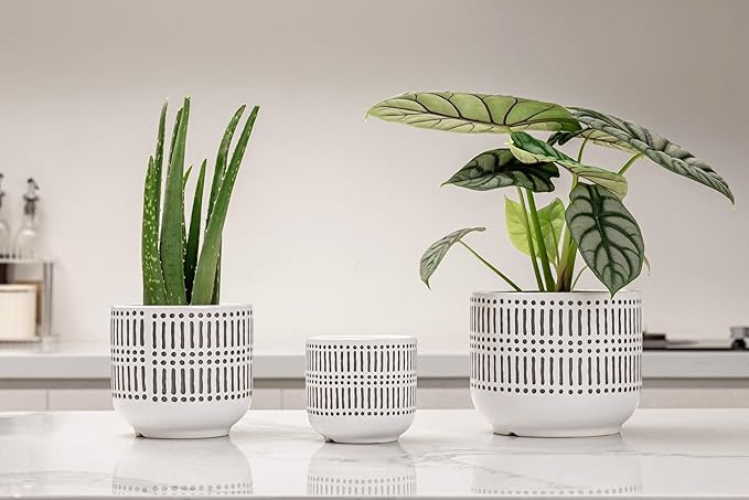 Docrin 3-Pack Ceramic Planters Set