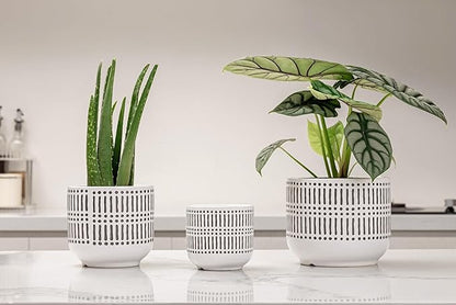 Docrin 3-Pack Ceramic Planters Set