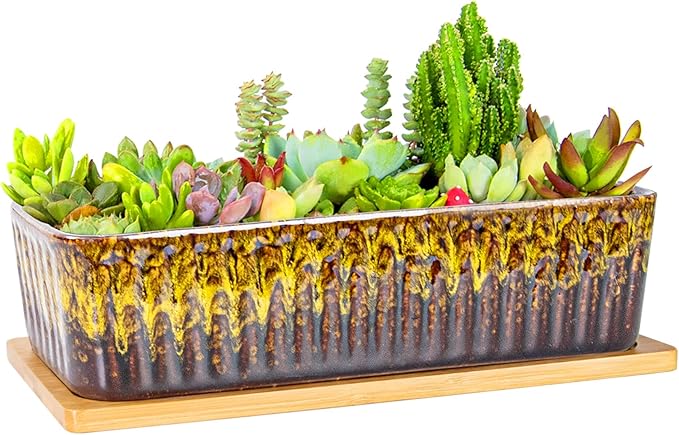 Succulent Pots - 12 Inch Large Succulent Planters