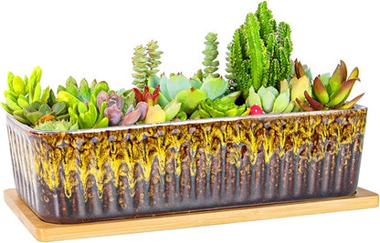 Succulent Pots - 12 Inch Large Succulent Planters