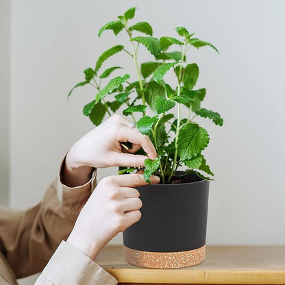 QCQHDU 5 inch Plant Pot, 2 Pack Planters