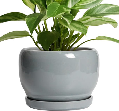 SQOWL Ceramic Pot for Plants