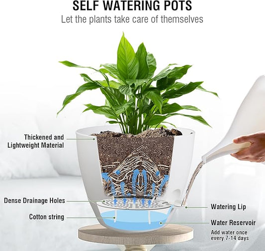 10 inch Self Watering Hanging Planters, 2 Pack Hanging Flower Pots