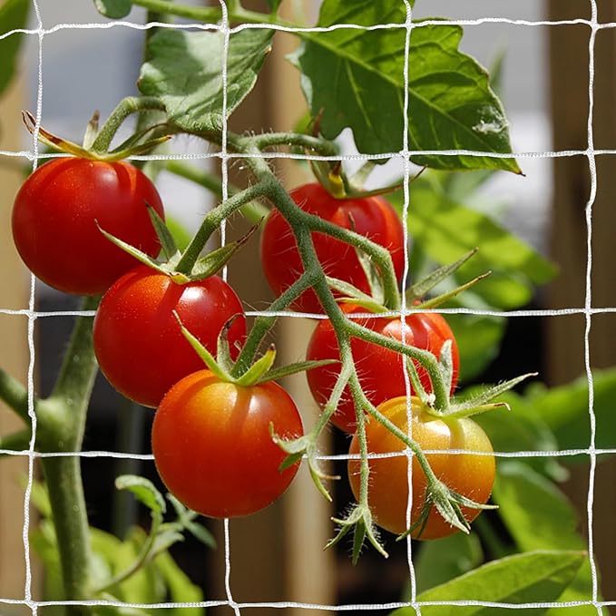 Tcamp Trellis Netting for Plants