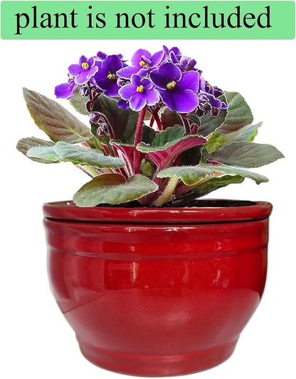 African Violet Pots Self Watering Round Ceramic Violet Pot