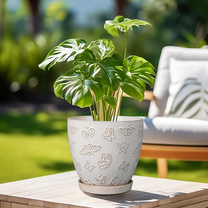 Ceramic Planter 8 Inch
