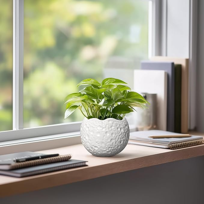 4 inch Plant Pots