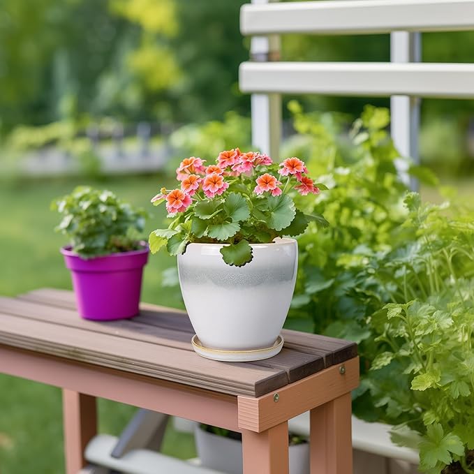 Ceramic Plant Pot