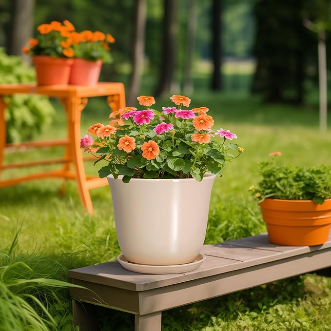 Ceramic Planter