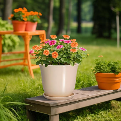 Ceramic Planter