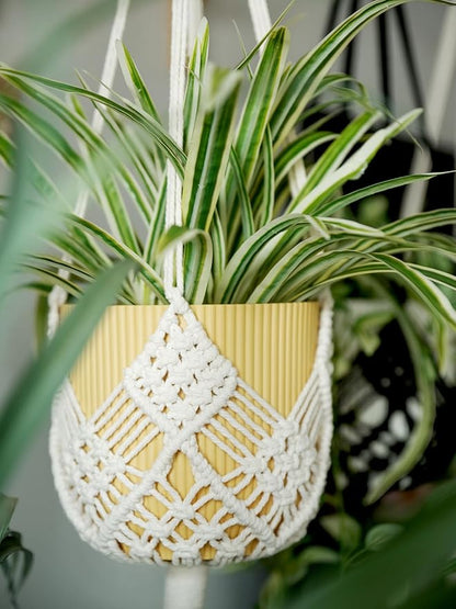 Hanging Planter with Patterns