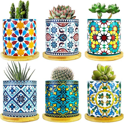 6 Pack Mandala Succulent Plant Pot
