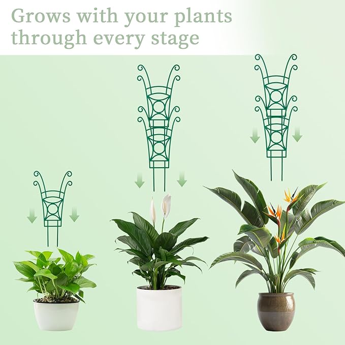 12 Pack Stackable Plant Trellis